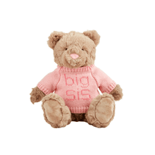 Load image into Gallery viewer, Big Sibling Plush Bear
