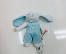 Load image into Gallery viewer, Plush Bunny
